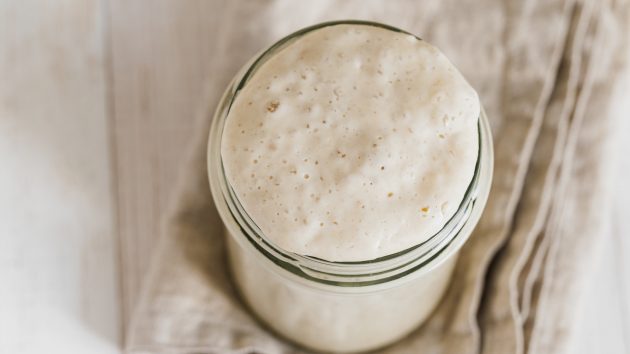 Wheat sourdough starter