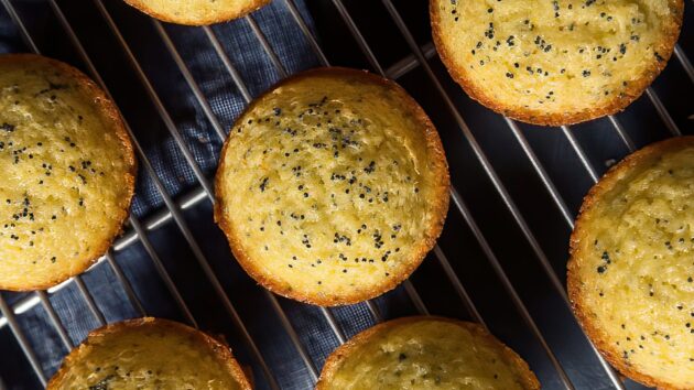 Sourdough Lemon Poppy Seed Muffins